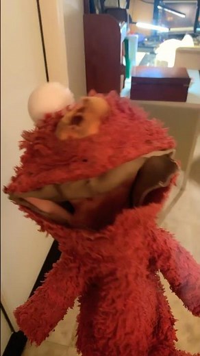 elmo world parrots intro