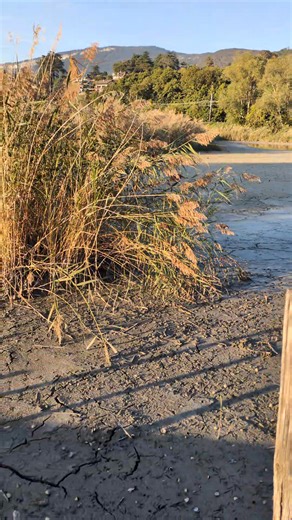 152K views · 966 reactions | La baisse du niveau du Lac du Bourget vue depuis le port de Mémard. | Lac du Bourget | Facebook