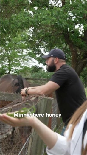 We Took a Break to Feed a Horse | RELI - Windows & Doors