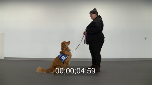 Cues Timecode