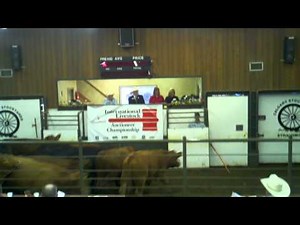 Brennin Jack Canadian Champion Auctioneer Semi-Finals
