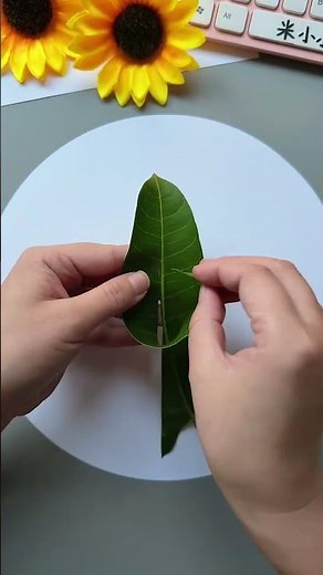 A beautiful flower bouquet with mango leaves. It's so beautiful!