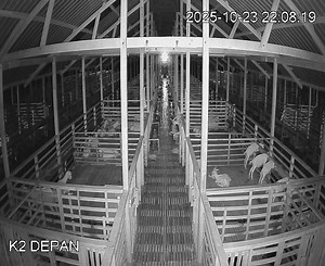 Kita boleh pantau secara langsung 24 jam sehari Projek Ladang Induk Pengganda di Telaga Papan Setiu. Projek Ternakan Kambing Tenusu baka Saanen ini diuruskan oleh Anak Syarikat Kerajaan Negeri, Terengganu Agrotech Development Corp (TADC). | Dr Azman Ibrahim