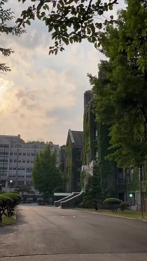 Explore Yonsei University: A Student's Dream in Korea