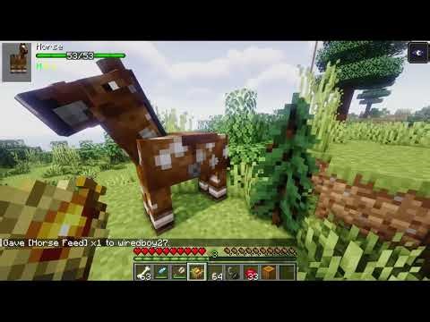 Farmer's Delight Mod Spotlight