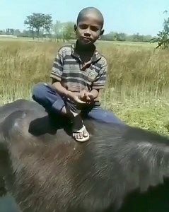 2.9M views · 57K reactions | Ashok Kumar on Reels | Facebook