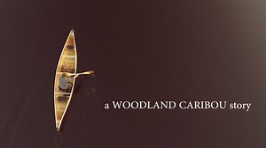 A Woodland Caribou Story