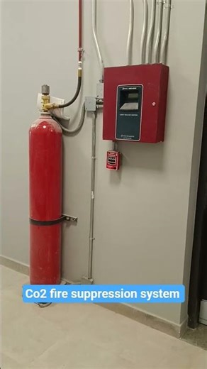 Co2 fire suppression system