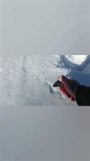 ✅Петарда🧨К05р2000 vs PP3 🧨✅ #pyrotechnica #pyromax #fireworks#shorts #pyro