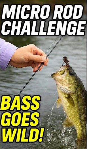 Micro Rod Challenge — Bass Goes Wild! #bassfishing #fishing #epiccatch