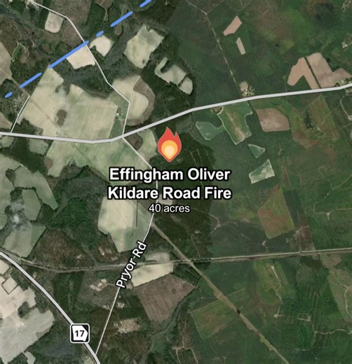 Effingham County officials responding to wildfire