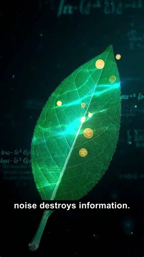 Plants are better quantum computers than IBM #Shorts