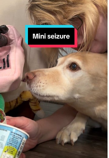 Jax's Mini Seizure Experience on Camera