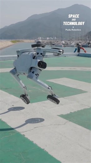 Pudu D5 Jumping Robot