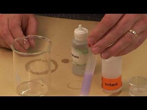 GCSE Biology Required Practical 4 - Food Tests