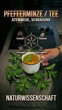 This is how you make mint tea correctly! (Are you making this mistake?) ❌