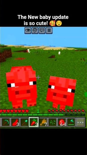 The New baby update in Minecraft so cute! 🥺🥰