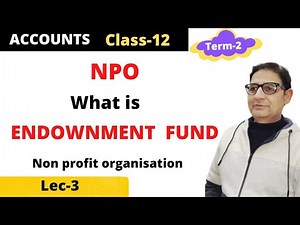 What is Endowment Fund (NPO) Class -12 Term-2 Non profit organisation