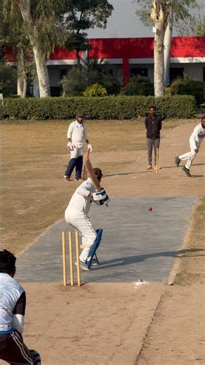 Cracking Pull Shot! #cricket #hardballmatch #cricketbatting #hardballbatting