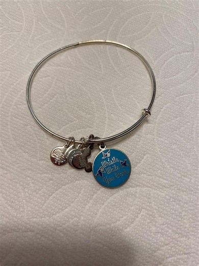 Disney Alex and Ani Bracelet | Whistle While You Work | Disney Bracelet - Etsy