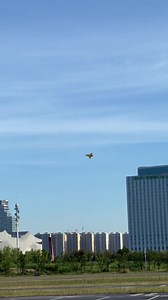 271K views · 130 reactions | Enjoy the flight. Let's count how many...