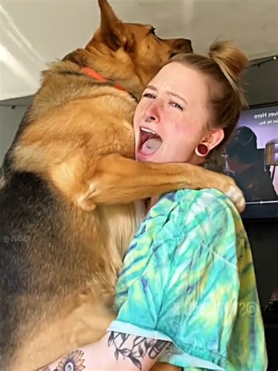 The Girl & Her Dog’s Emotional Journey: Secret Story Part 2