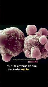 ¿Qué es la APOPTOSIS?