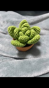 Crochet succulent plant #crochet #succulents #plants #crocheters #crocheting #crochettutorial #crochetaddiction #craft #plant #crochetplant #handmade #gift #diy #fyp #foryou #succulent | Crochet Nature
