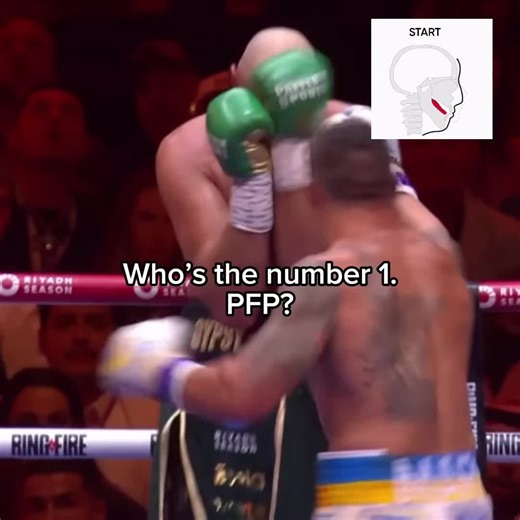 Incredible Knockout by My Goat! 🐐 🇯🇵