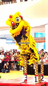 Acrobatic Lion Dance | 獅人派隊 S.R.P.D