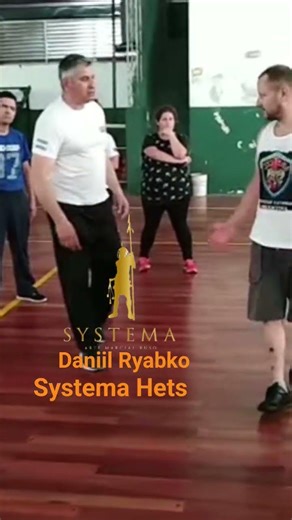 Daniil Ryabko Systema #systema #mma #systemaryabko
