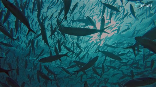 This week, Team Optimar is at SIMEC 2026 in Riyadh, meeting industry...