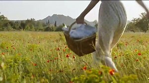 La fille du puisatier