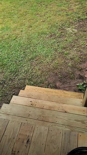 Buddy Green on Reels