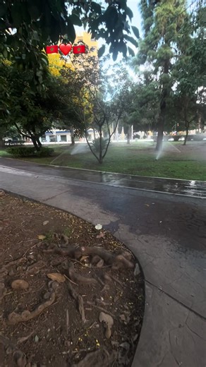 Videos de ADRAE🦋🌸💦ADRAE🌸💦🦋 (@adrae_alhayat) con “son original - Moataz Abou Zouz”