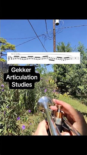Gekker articulation variations trumpet practice #trumpet #musicos #trumpetmusic #music #practice