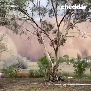 198K views · 819 reactions | Watch as this dust storm envelopes homes in Australia. | cheddar news | Facebook