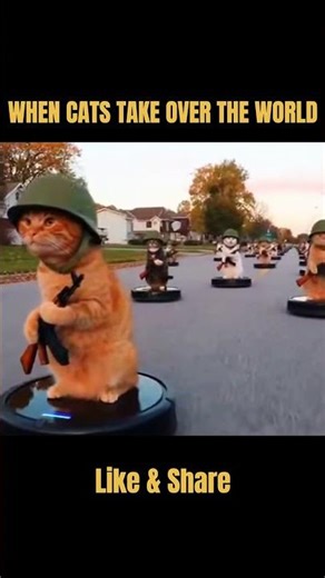 When Cats Take Over the World 🤣😂