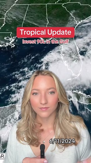 Tropical Update: Invest 90L in the Gulf - 6/11/2024