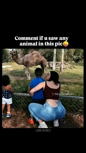 𝐓𝐡𝐞 𝐃𝐚𝐫𝐤 𝐅𝐚𝐧𝐭𝐚𝐳𝐲👾 on Instagram: "Comment the animal name🤣 . . #nayanthara #samantharuthprabhu #mehreenpirzada #malvikasharma #malvikamohanan #tamannahbhatia #kiaraadvani #hansikamotwani #raashikhanna #rashmikamandanna #anuemmanuel #tollywood #tollywoodactress #anjali #nithyamenon #poojahegde #mollywood #trisha #kajalagarwal #keerthysuresh #meghaakash #shrutihassan #instagram #anushkashetty #shriyasaran #insta #thedarkfantazy #tdf"