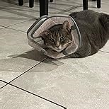 Supet Cat Cone Collar Soft, Air Mesh Recovery Collar to Stop Licking, Breathable Neck Cone Alternative, Lightweight Cat Head Cone Anti Scratch (Green,S)