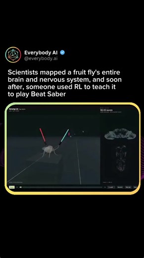 Scientists mapped an entire fruit fly brain — and people are already using that data to make a virtual fly play Beat Saber. 🪰🧠🎮 Researchers created a detailed map of the fruit fly’s nervous system, containing around 166,700 neurons and 125 million synaptic connections. Then developers started turning that scientific data into interactive simulations. One experiment connects a simulated nervous system to a virtual fly, allowing its neural activity to control movements while it plays Beat Saber