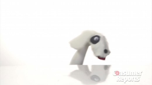 How to de-skunk your dog