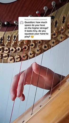 32K views · 708 reactions | Yeah not a ton of space 羅 #harp #music #strings | Kristan Toczko | Facebook