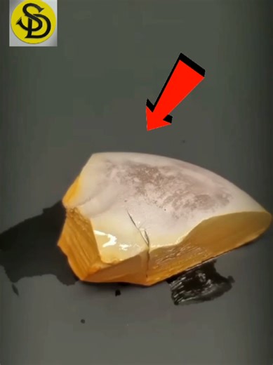 Innovative Inventions That Challenge Our Intelligence
