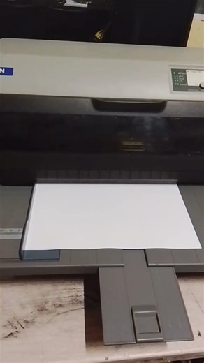 Epson LQ-690