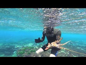 Lobster Diving at Lord Howe Island