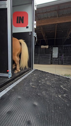 Whether you are heading out for a ride, or just getting back, Homesteader Stallion trailers can get you there and back! Visit our Homesteader Trailer website today to see all of the standard features, popular options, and to find your closest dealer. 𝑳𝙞𝒌𝙚, 𝒔𝙝𝒂𝙧𝒆, 𝙘𝒐𝙢𝒎𝙚𝒏𝙩, 𝒂𝙣𝒅 𝒇𝙤𝒍𝙡𝒐𝙬. #Homesteadertrailer #Homesteadertrailers #HorseTrailer #EquestrianLife #HorseTransport #HorseLife #TrailerForSale #EquineTransport #HorseLovers #HorseShow #TravelWithHorses #RidingAdventures