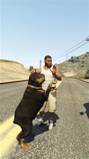 GTA V Franklin Bus Danger 😨 | Dog Warned Him #gta5