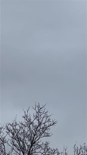 IT STARTED TO SNOW!!!! (Part 1) #Snow #Exciting #Fun #Vlog #Winter